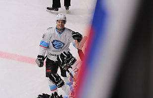 Пятеро хоккеистов «Динамо-Шинника» продолжат сезон в системе «Металлурга»